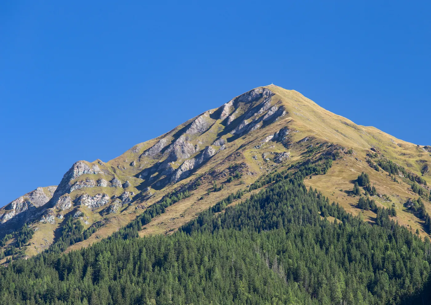 Sluncem ozářený vrchol Vysokých Taur nad hranicí lesa.